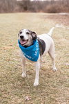 Skeeter - Photo 3