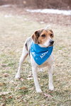 Blue - Photo 4