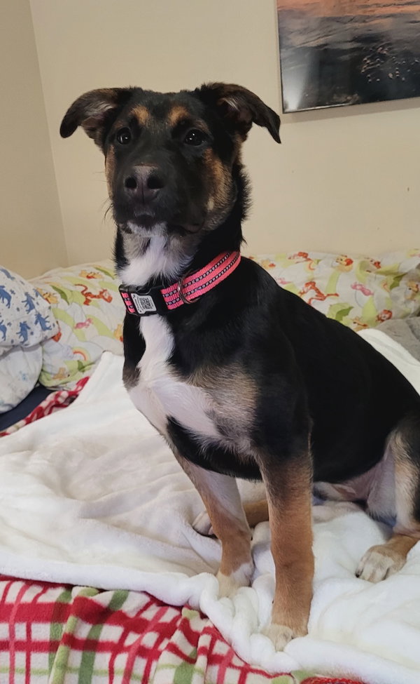 Zoe