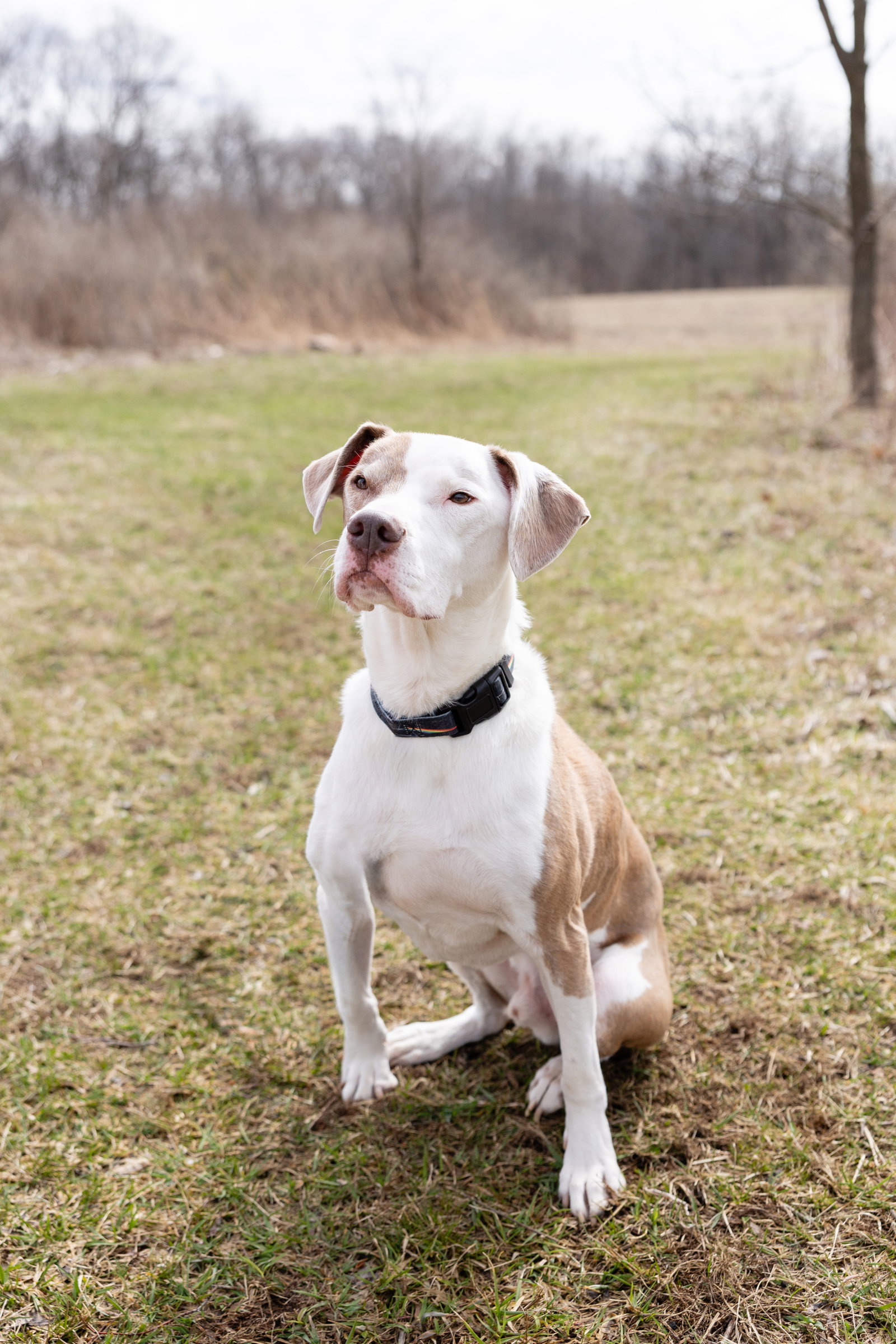 Reese, photo 8