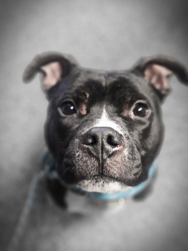 Dugan