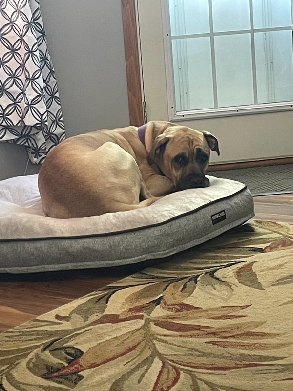 Duke