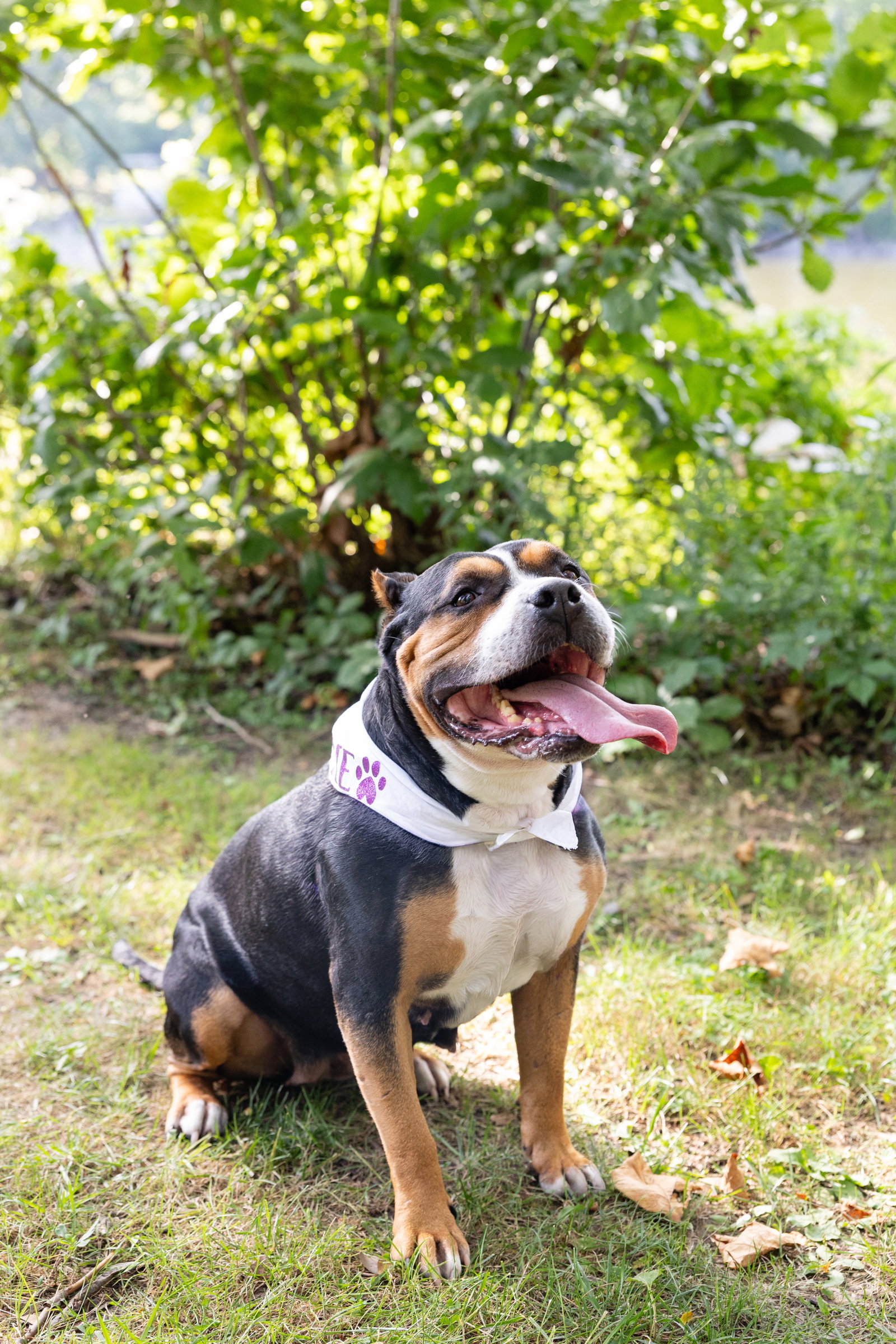 Mila, photo 9