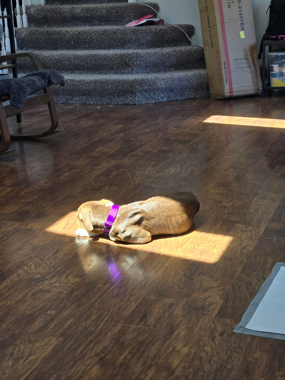 Sally Sue, photo 9
