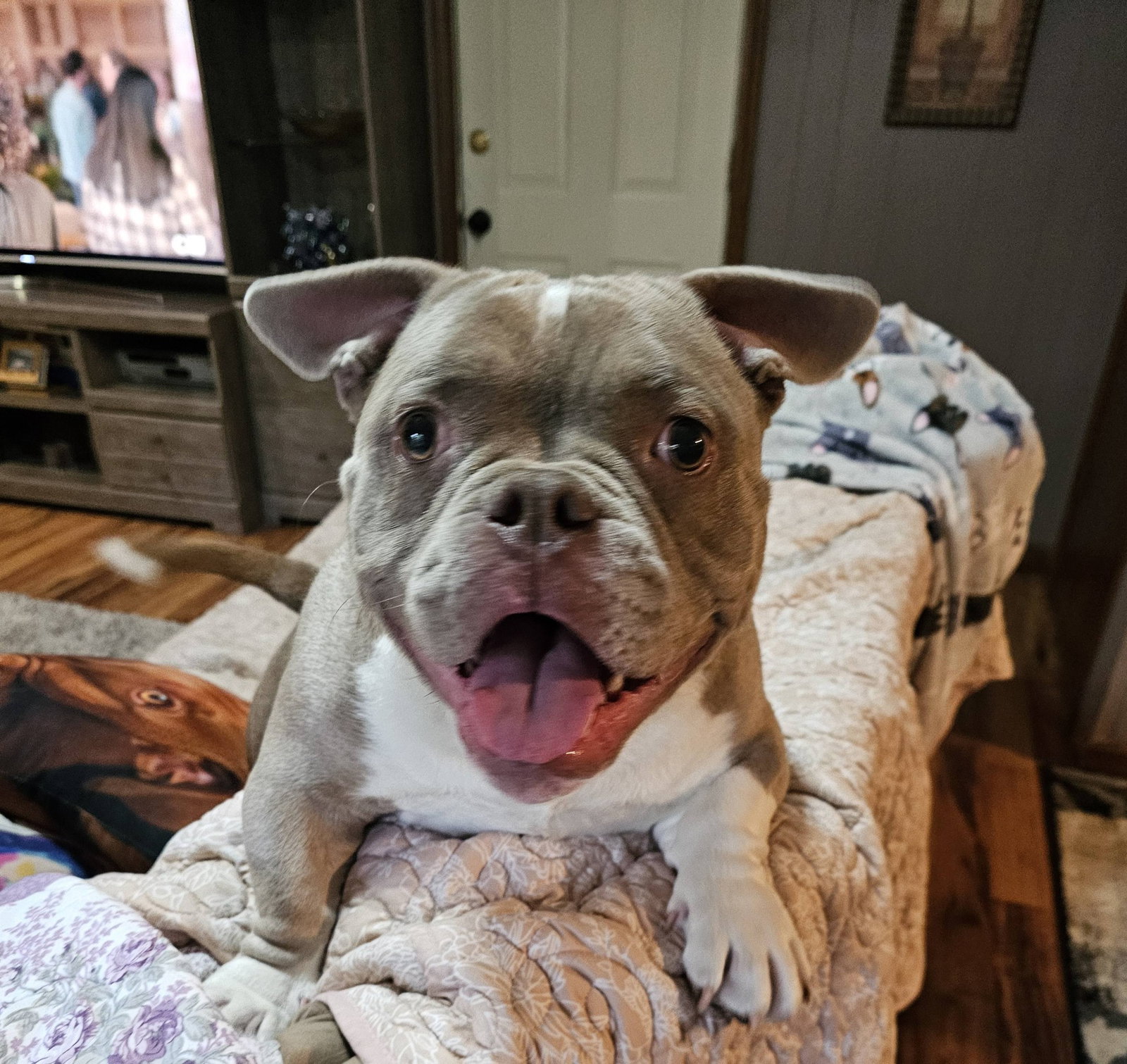 Princess Penelope