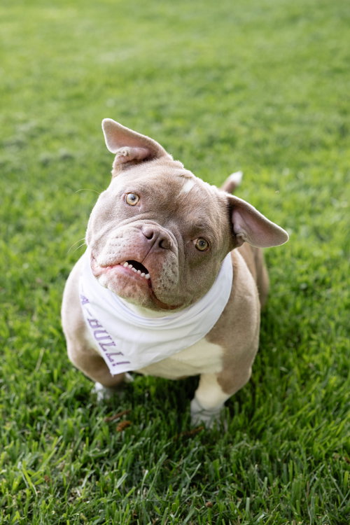 Princess Penelope photo 5
