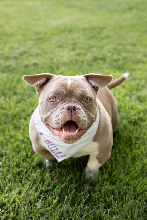 Princess Penelope photo 6