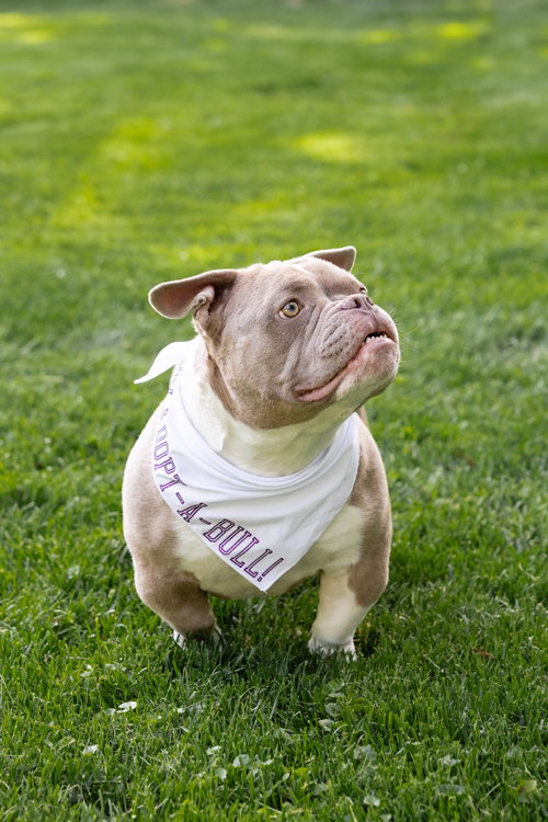 Princess Penelope photo 7