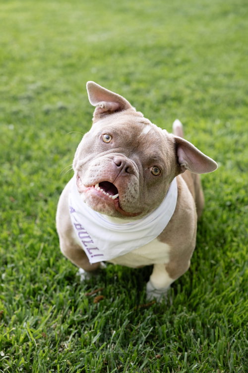 Princess Penelope photo 8