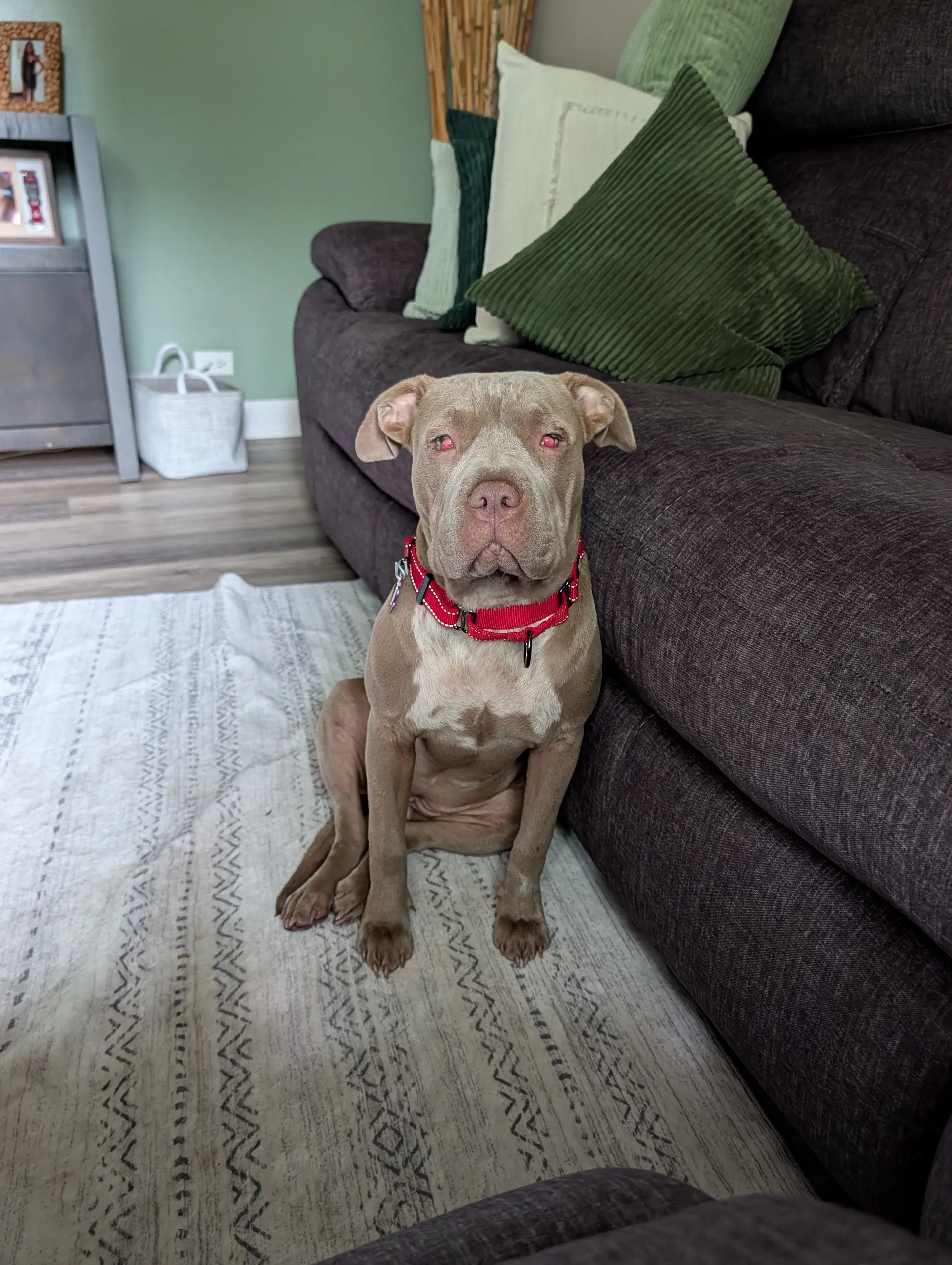 Rori image 2