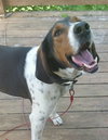 Roscoe