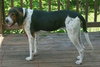 Roscoe