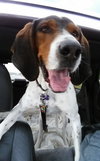 Roscoe