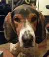 Roscoe