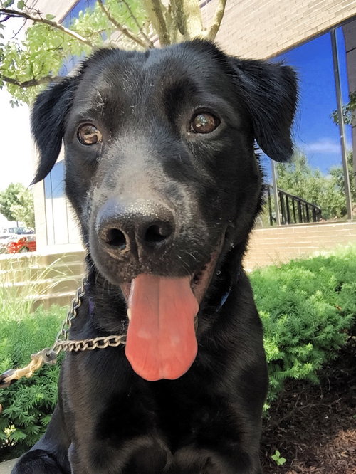 Cooper