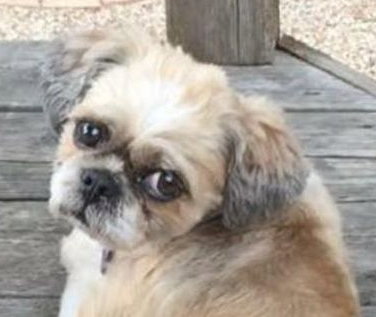 Stan