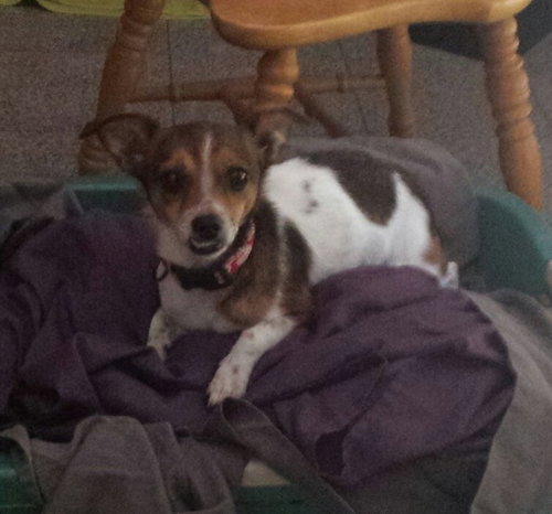 Maddie