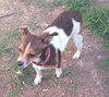 Maddie