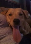 Molly Mae