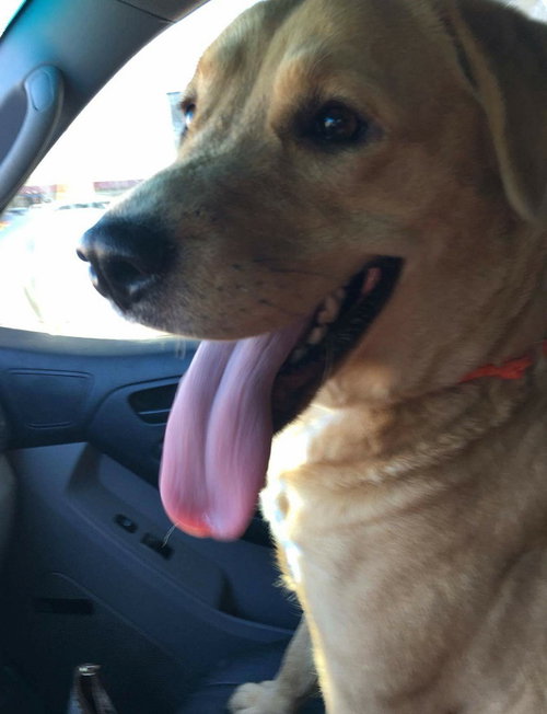 Molly Mae