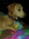 Murphy