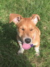 Roxie