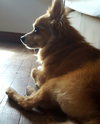 Bahati
