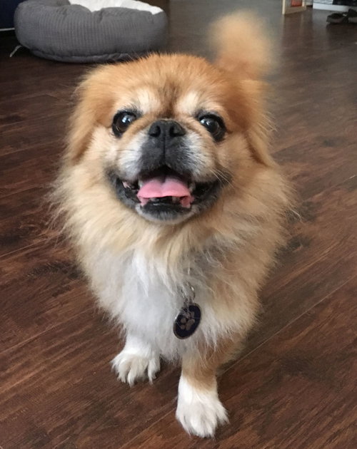 Jax