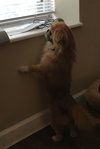 Jax