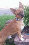Bruno Mars