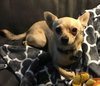 Frankie