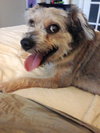 Sofie