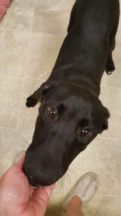 Marco
