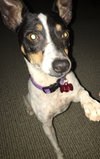 Casey