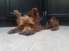 Rusty