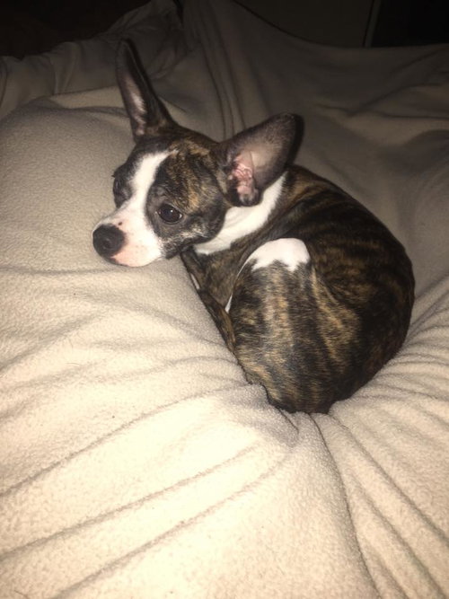 Lucy Lou