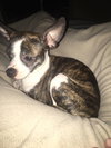 Lucy Lou