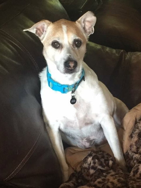 Obie (Courtesy Listing)