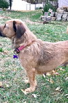 Lola