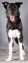 Athos