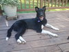 Athos