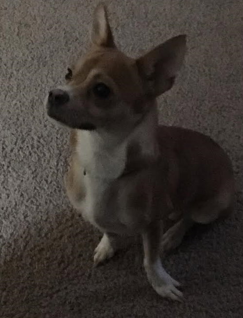 Lenny