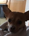 Lenny