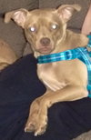 Benny