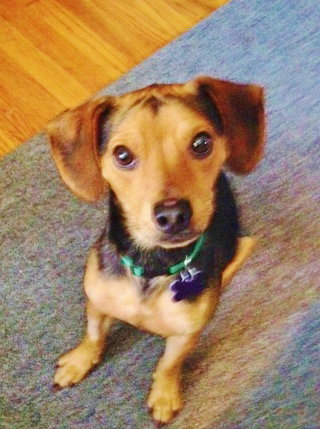 Opie
