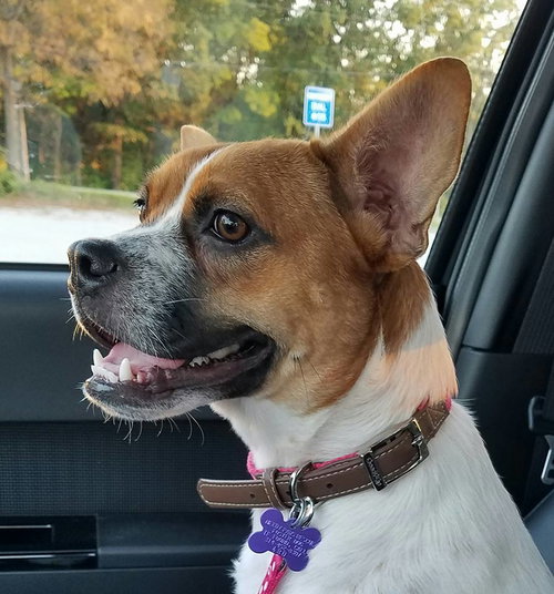 Lucy Marie