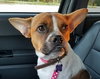 Lucy Marie