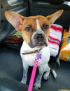 Lucy Marie