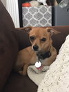 Bella