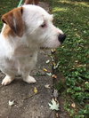 Sebastian